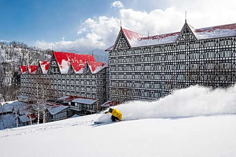 Hotel Green Plaza Hakuba