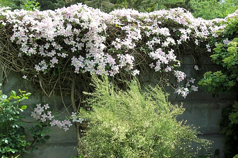 Le Chemin du Village