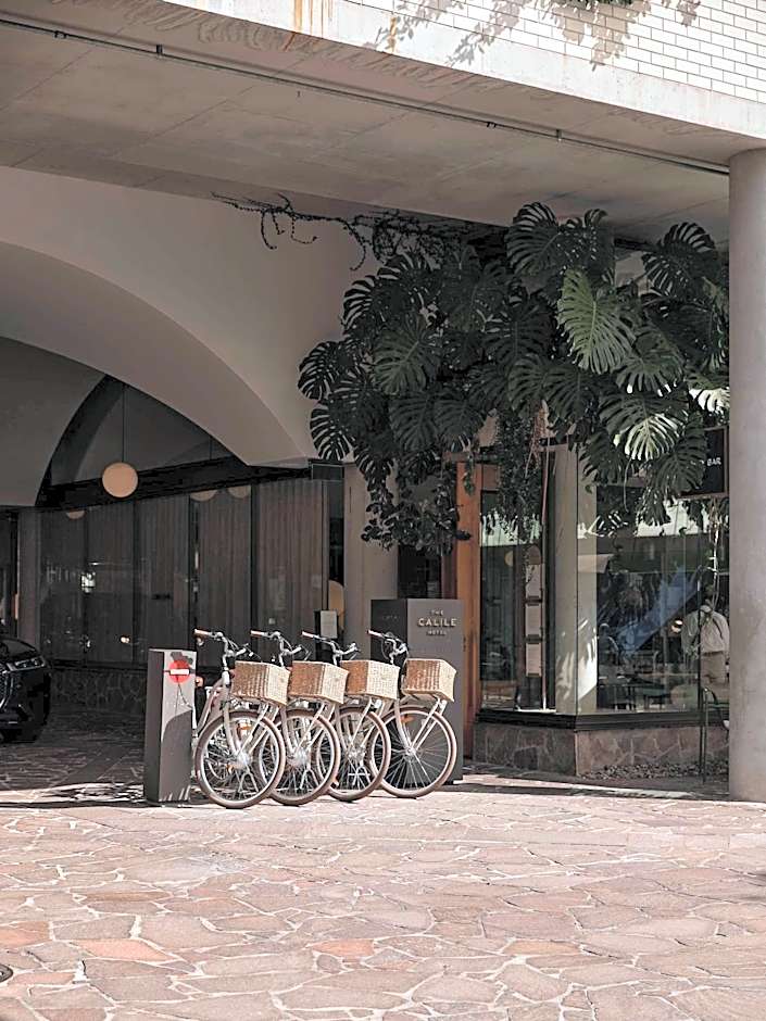 The Calile Hotel
