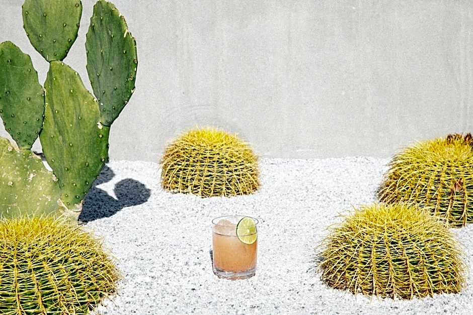 Kimpton Rowan Palm Springs Hotel By IHG