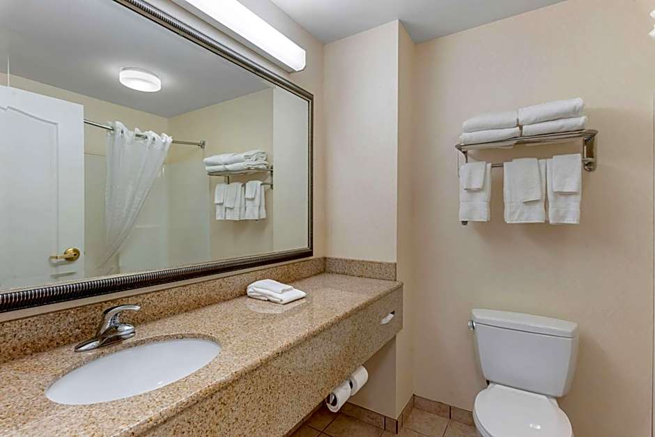 Comfort Inn & Suites Dover near Speedway