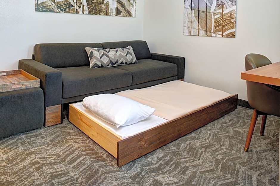 SpringHill Suites by Marriott Saginaw