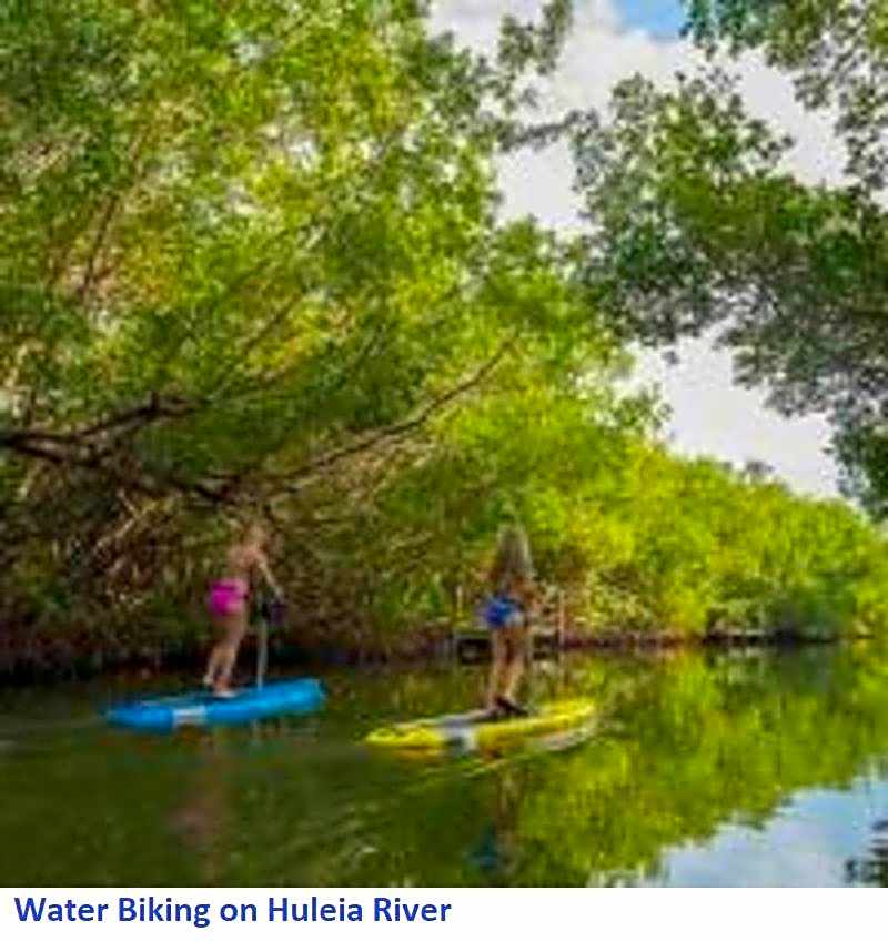 Banyan Harbor
