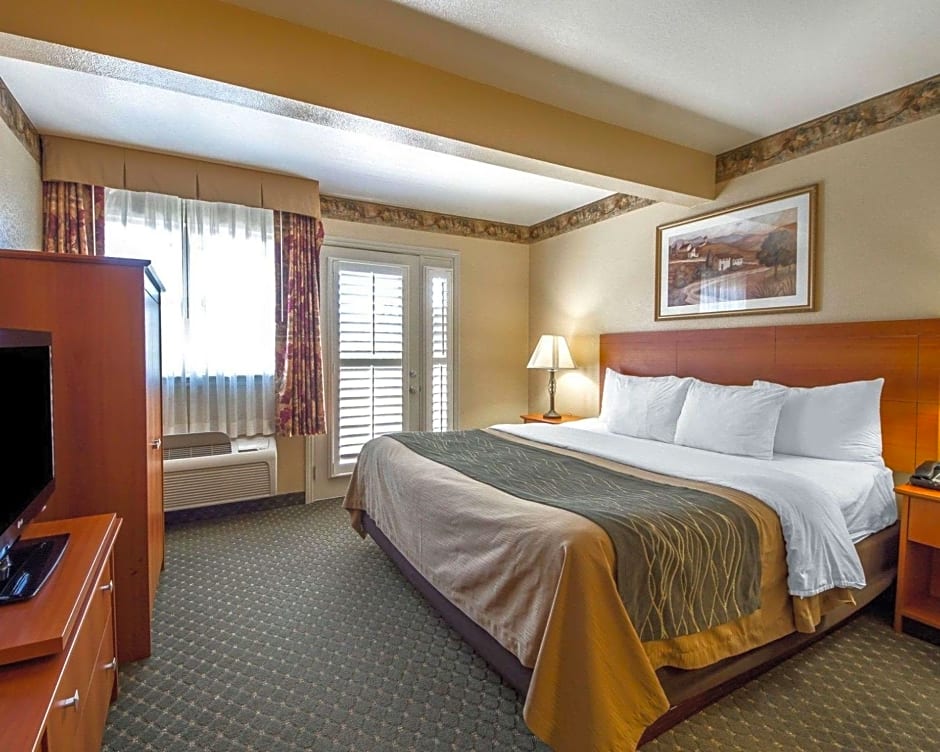 Photo 1 of 7 of 1 King Bed Suite