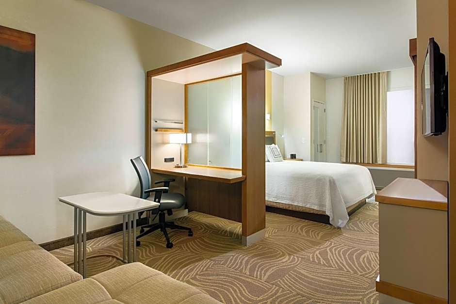 SpringHill Suites by Marriott Los Angeles Burbank/Downtown