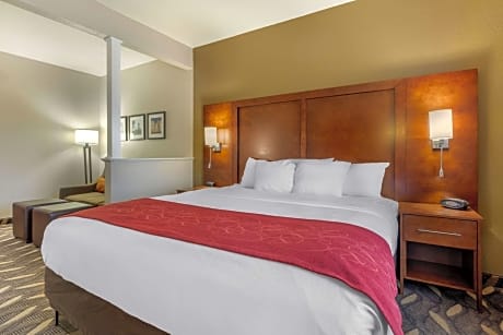 1 King Bed, Suite, Nonsmoking