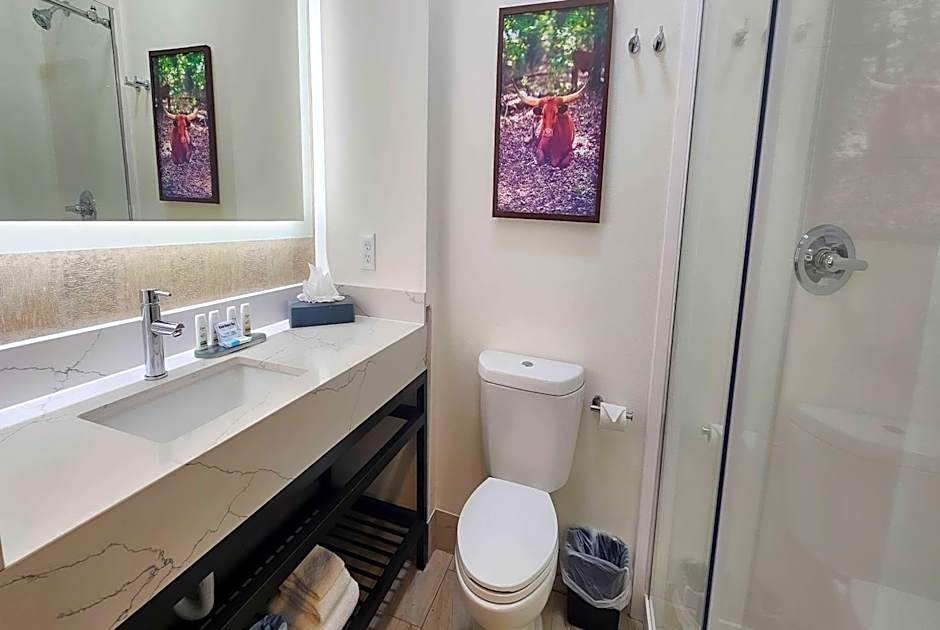 La Quinta Inn & Suites by Wyndham Dallas Mesquite