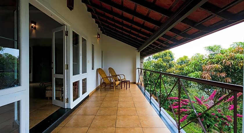 After the Rains - Rainforest Lodge