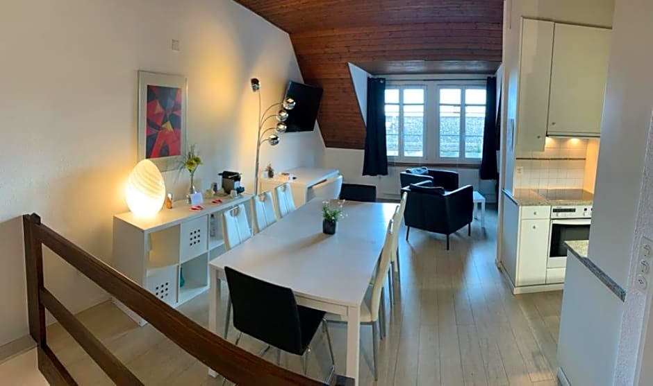 Superbe Duplex Vue Château et Lac