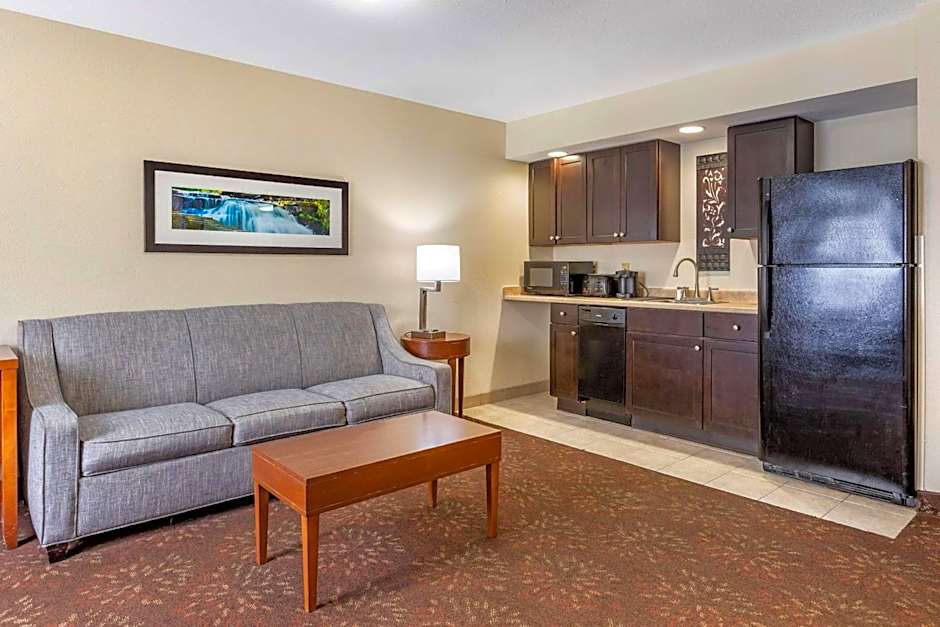 Comfort Inn Okemos