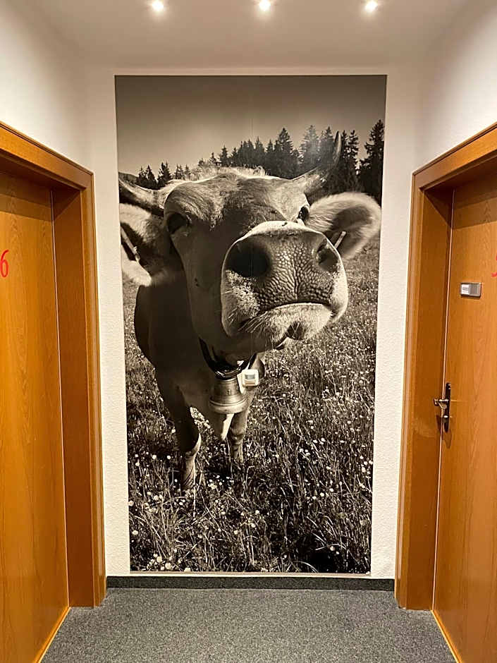 Hotel AlpIn Bed & Breakfast