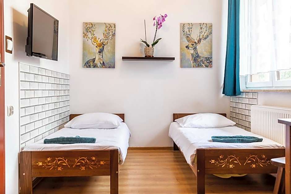 Brzoza w centrum Zakopanego