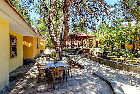 Platres Valley Houses