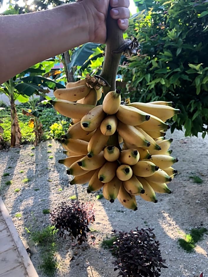 New Raya - Nias Beach Bungalows