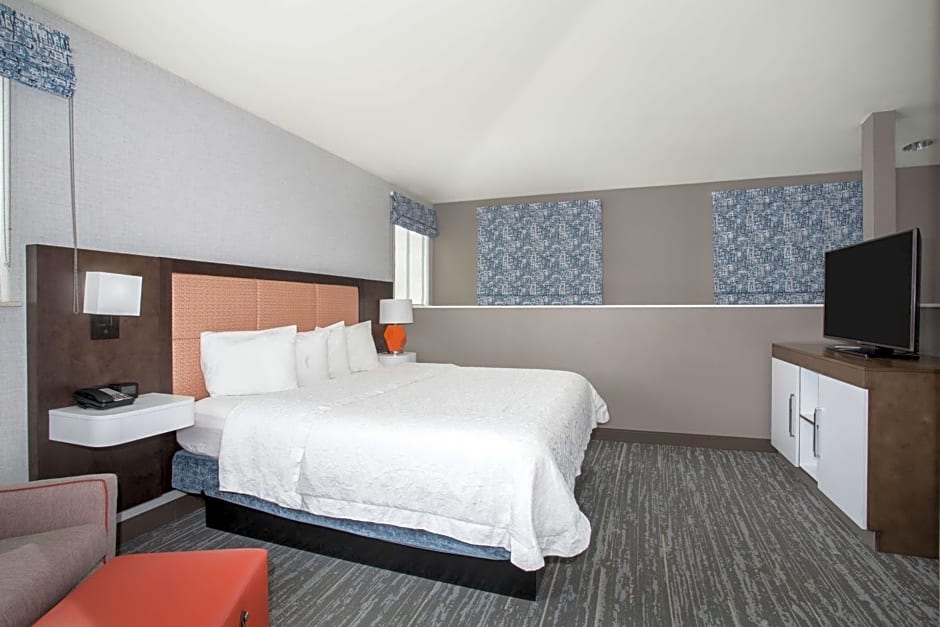 Hampton Inn By Hilton & Suites Denver-Downtown, Co