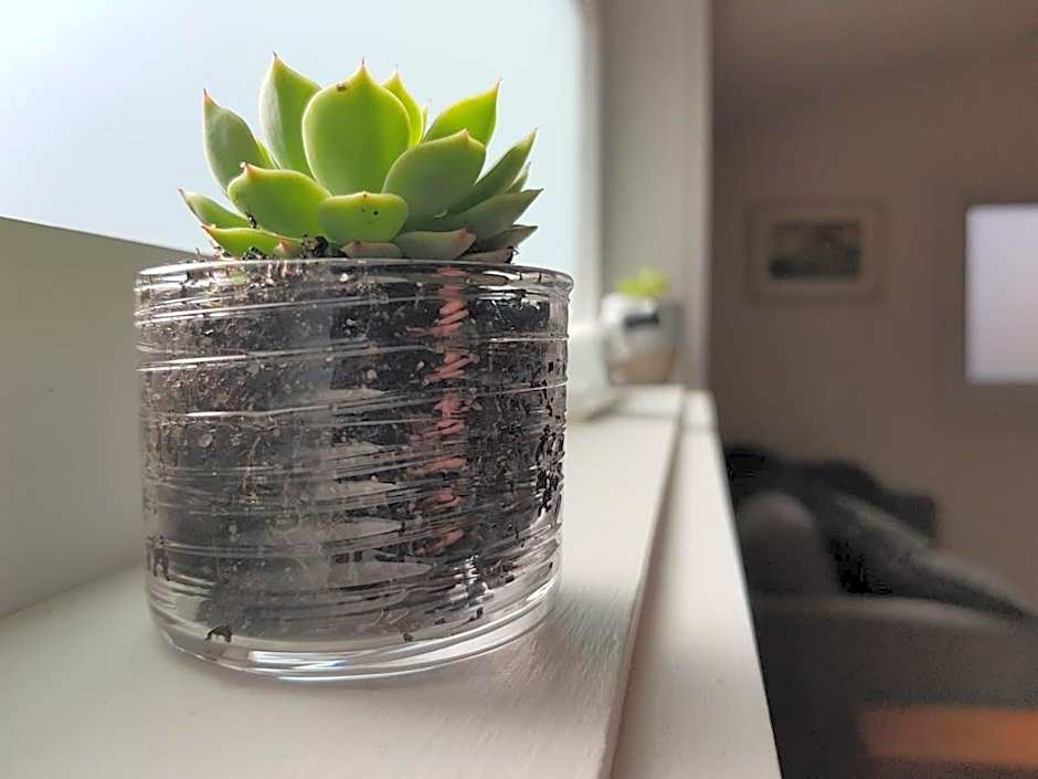 'The Hideout' Private Bungalow in Sandy Bay