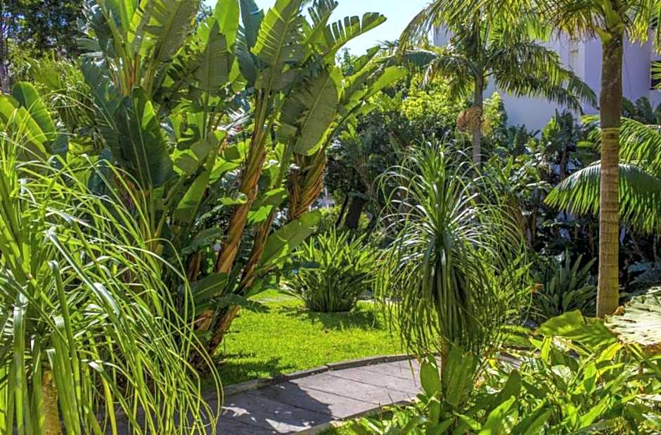 Dorisol Buganvilia Studio Hotel