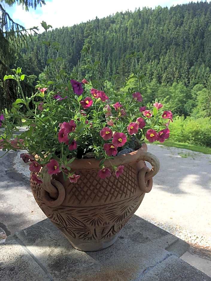 Hunting Lodge Vitkov