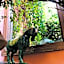 Casa Eugenia Hotel
