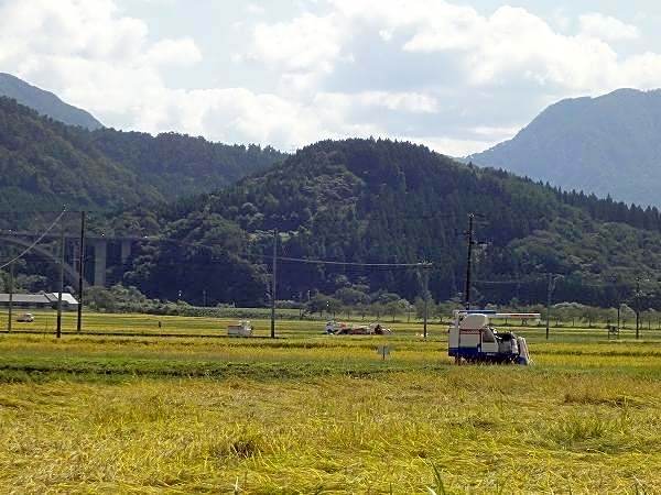 Kousagi No Yado Arakawaso