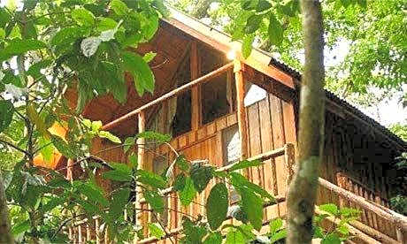 Bayrams Tree Houses