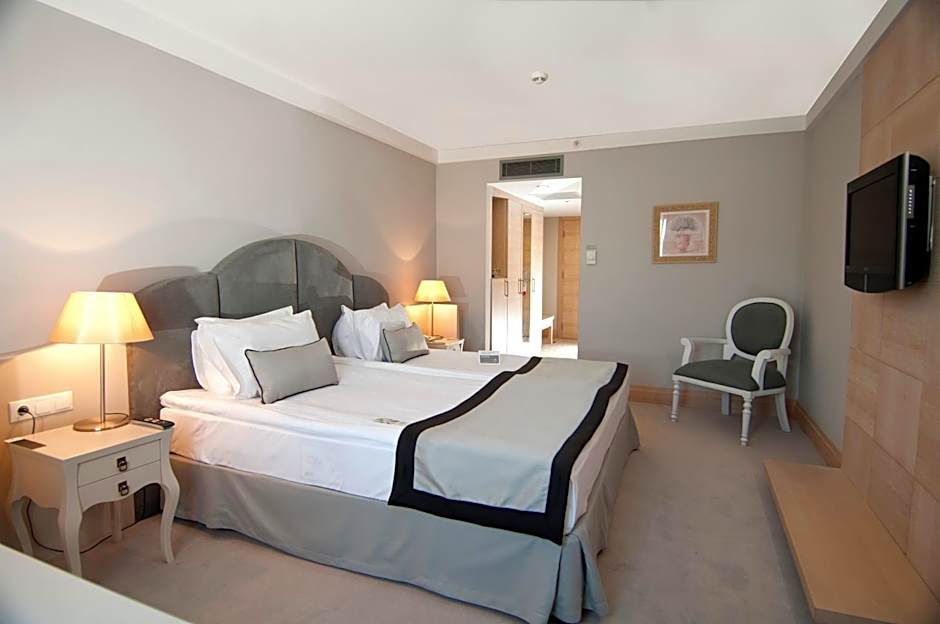 Photo 1 of 6 of Deluxe Suite
