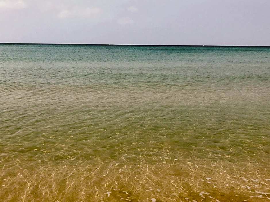 Sea Breeze 1987
