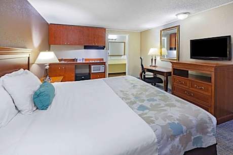 1 King Bed Deluxe Efficiency Room Non-Smoking