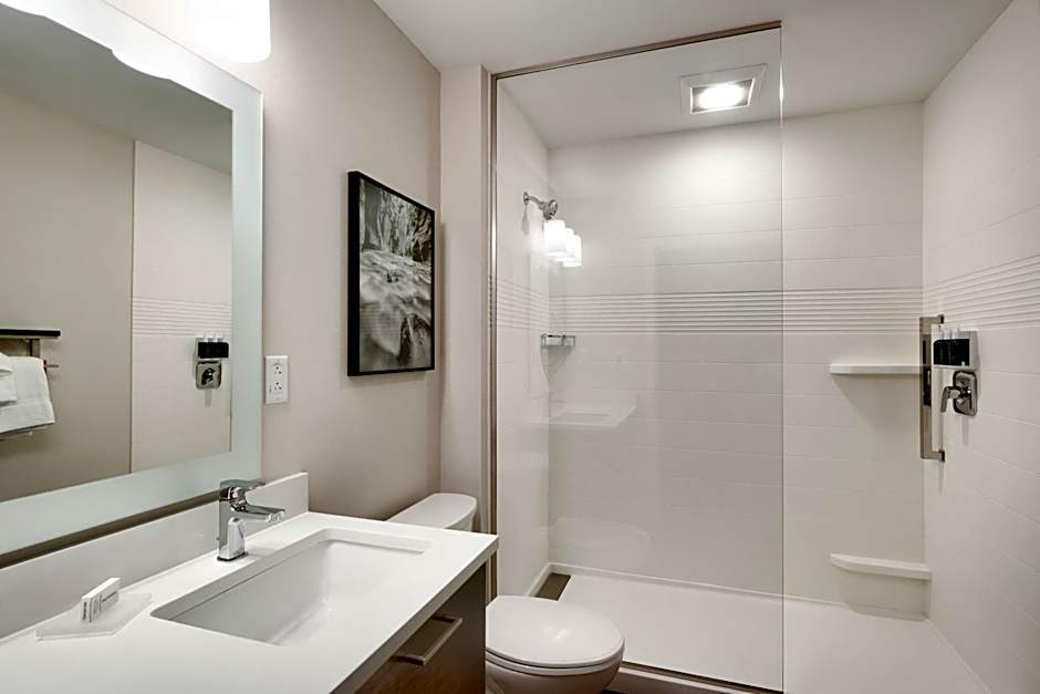 TownePlace Suites by Marriott Salt Lake City Downtown
