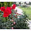 Hotel Sunlife Garden - Vacation STAY 55394v