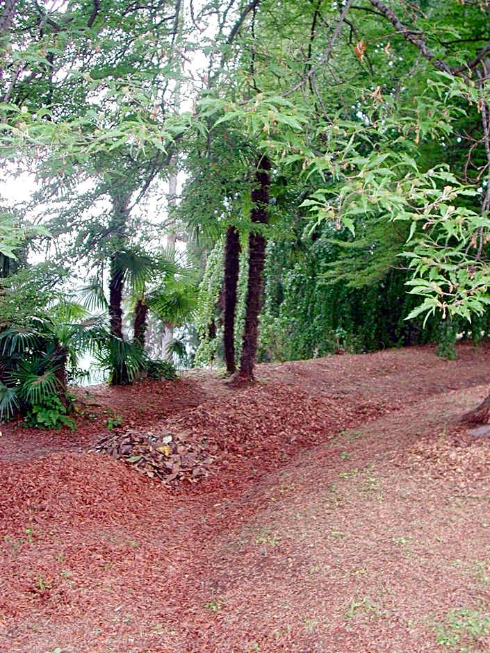 B&B Villa Cernigliaro Dimora Storica