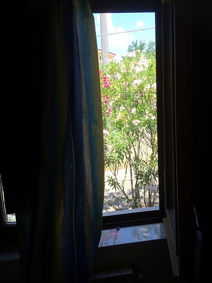 B&B La Vigna Di Mario