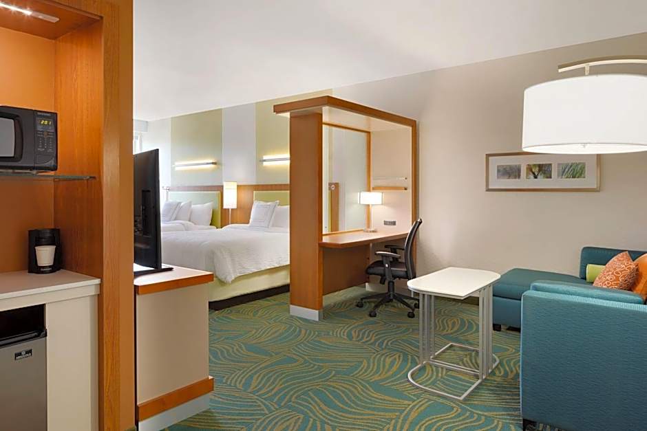 SpringHill Suites by Marriott Tuscaloosa