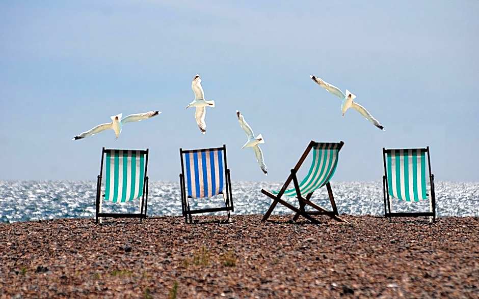 The Greenwich Rooms - Burger & Bird Bar & Restaurant