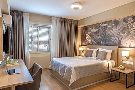 deluxe suite, 1 queen bed