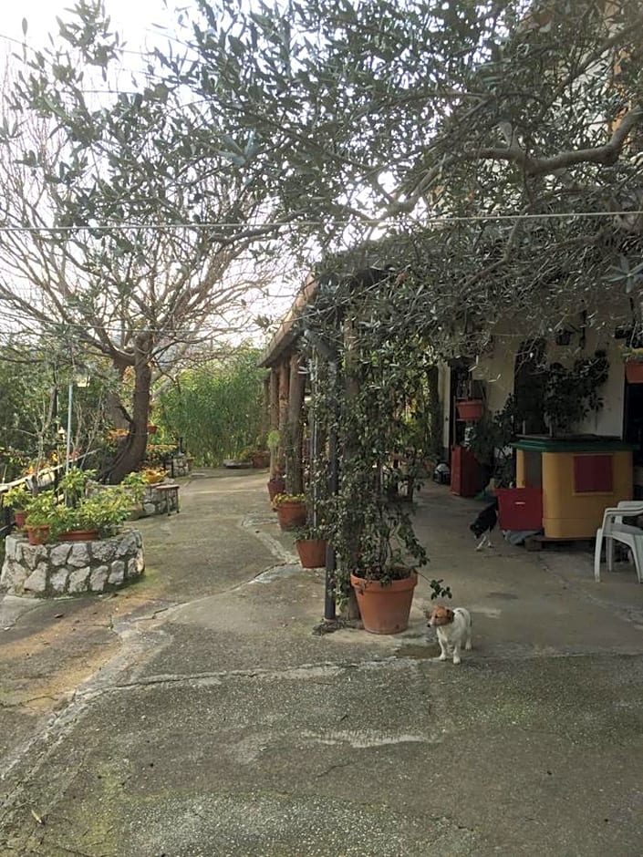 B&B La Vigna Di Mario