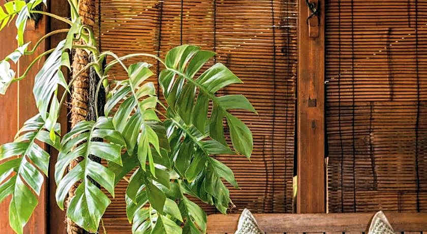 Rimba Villas Gili Air