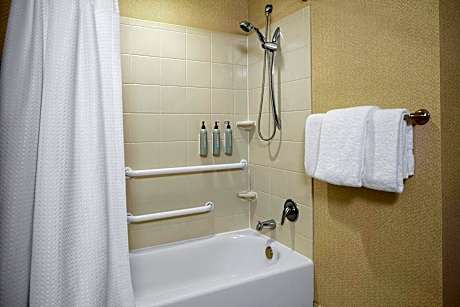 Room, 1 King Bed (Mobility/Hearing Accessible, Tub) (1 King Bed)