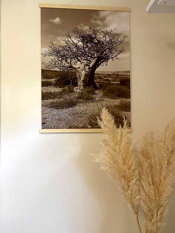 Séverine chambres d’hôtes