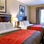Comfort Inn & Suites Winnie
