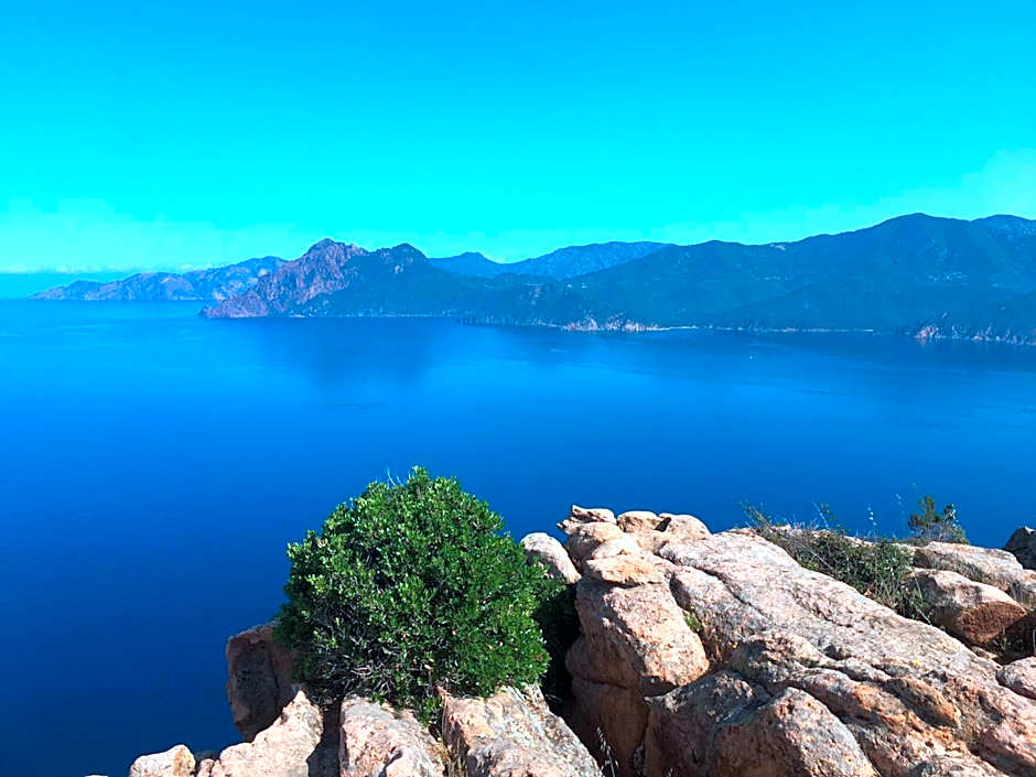 Eco lodge Carbonaccio