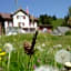 Gasthaus Schwand