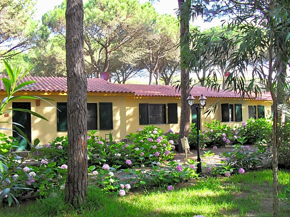 Residence with swimming-pool in Arborea just 300 meters from the beach