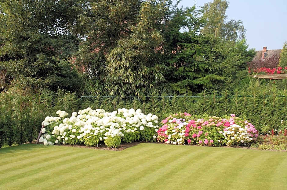 B&B Bloemenweelde