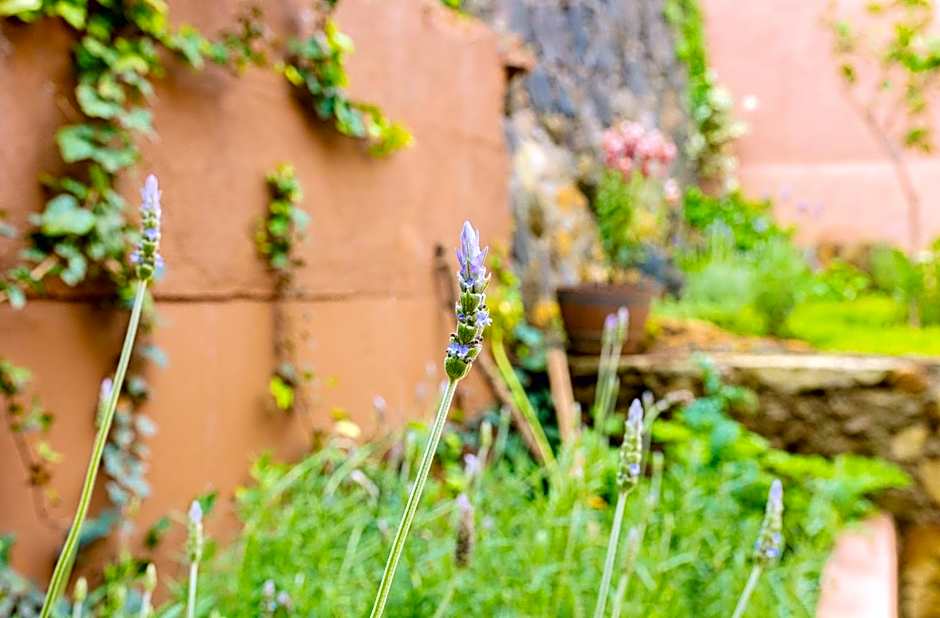 Casa Lavanda Hotel Boutique