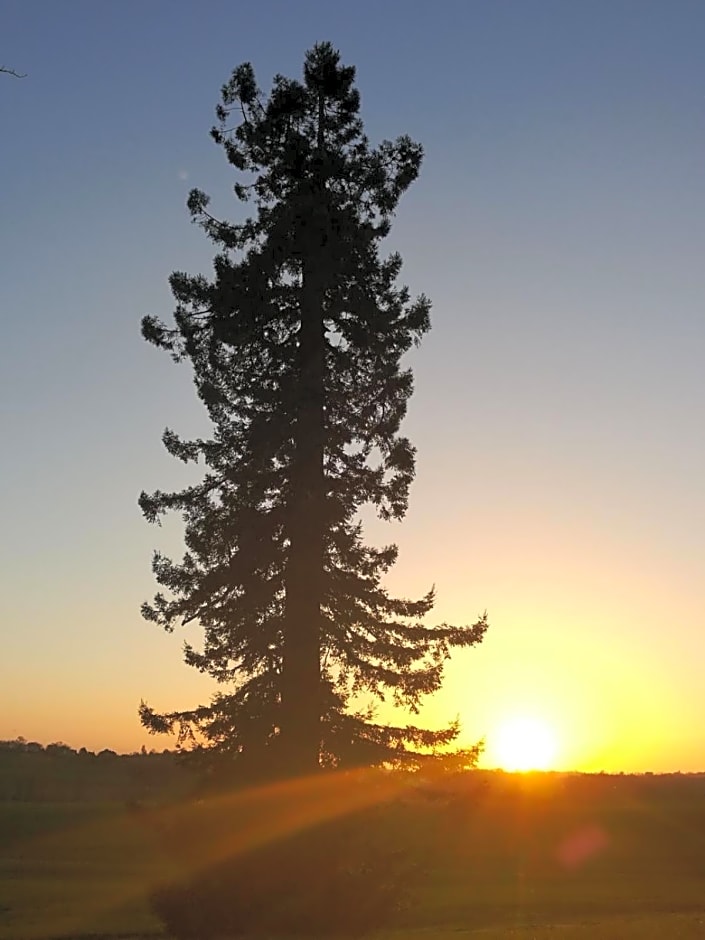 Maison Saint-Pé (Gers)