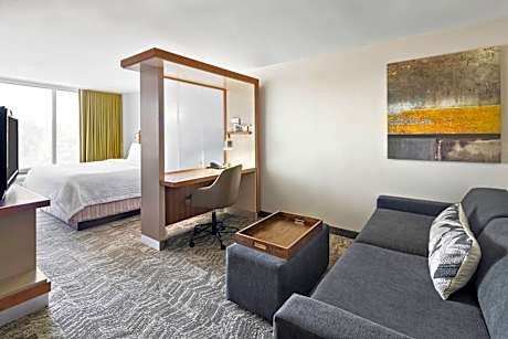 Studio King Room with Non-Private Sofa Bed and Roll-In Shower - Mobility/Hearing Accessible