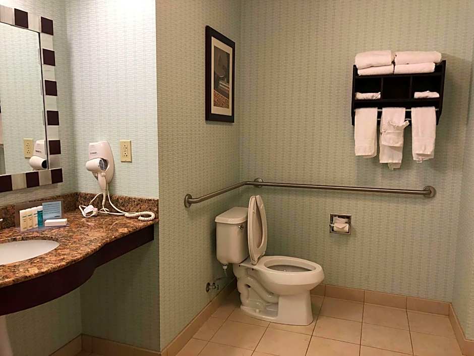 Hampton Inn By Hilton And Suites Nashville At Opryland
