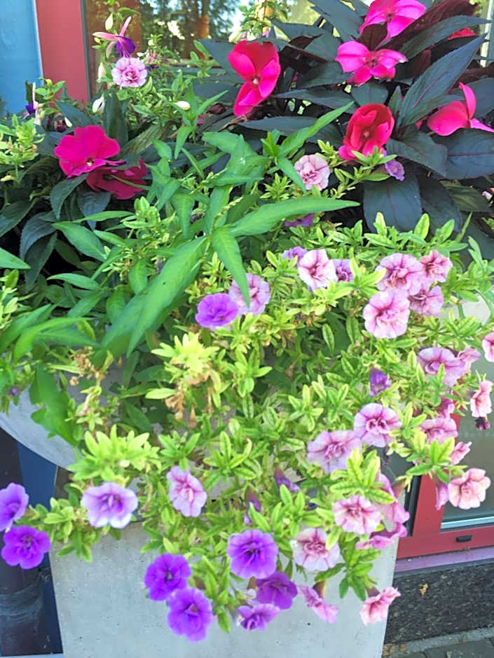 Arthotel Restaurant Pfeffermühle