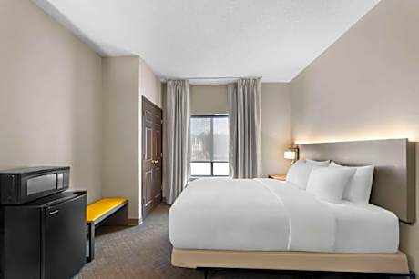 King suite with walk in shower